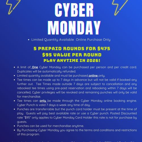 2025 Cyber Monday